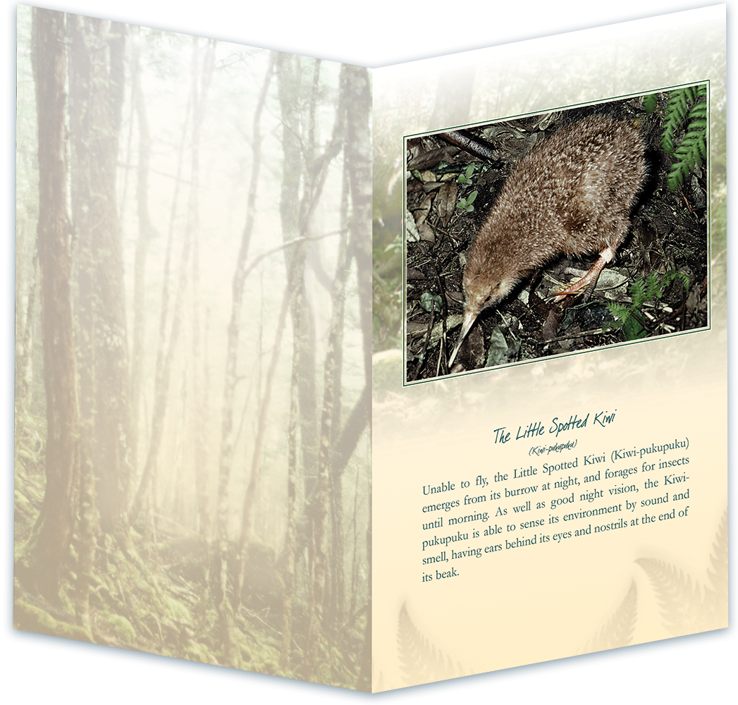 Little Spotted Kiwi Bird Sound Card Secondary image