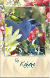 Kokako Bird Sound Card
