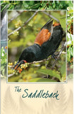 Saddleback Bird Sound Card