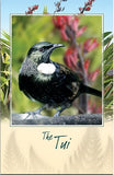 Tui Bird Sound Card