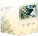 Tui Bird Sound Card