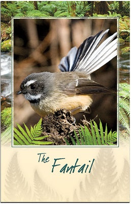 Fantail Bird Sound Card