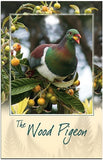 Wood Pigeon Bird Sound Card